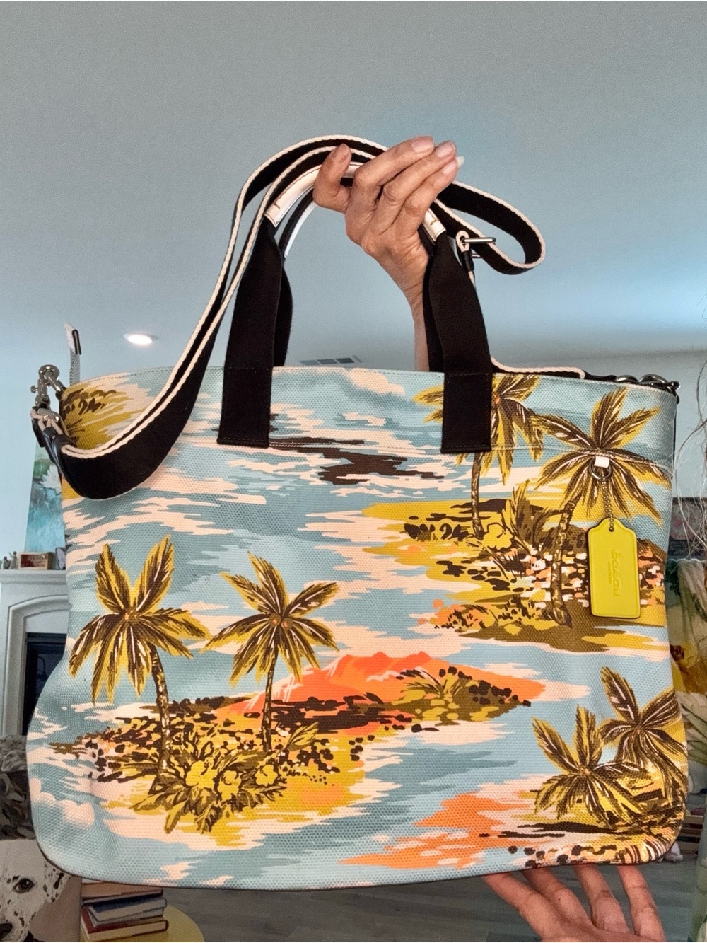 Coach Tote 38 Hawaii Print and Marc Jacobs web strap